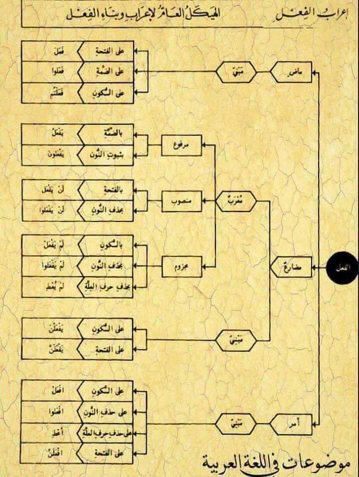 alnahoarabi's tweet image. إعراب الفعل.. 
حروف المعاني.. 
من أسباب المنع من الصرف.. 
من أنواع &quot;ما&quot;.. 

@fawaz_dr 
@Love_Arabic2 
@arabic_day
@ahmedalothayb 
@zsdsf3 
@Love_Arabic2
