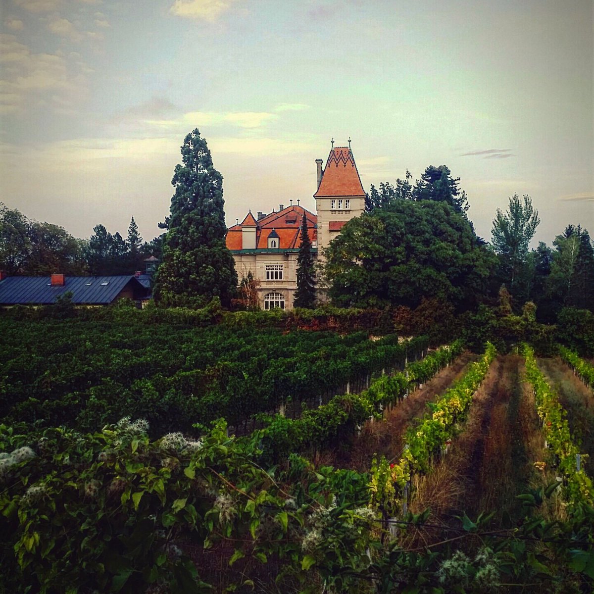Dream <3 #WeTravel #travelwithfriends #traveltogether #wetravel #travelwithus #catchrhemoment #discovertheworld #dontspendtime #dontmisschance #wetravelinaustria