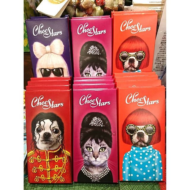 Pets Rock World (PetsRockWorld) Twitter