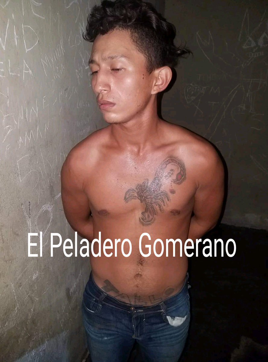 EGomerano's tweet photo. LADRON SEROTE EN LA GOMERA. 

PERSONA APREHENDIDA POR PORTACIÓN DE ARMA ARTESANAL.

La mañana de hoy siendo las 20:30 horas sobre la 9na. Calle, Colonia Catalina, La Gomera, fue aprehendido el señor:

WALTER ESTUARDO DEMETRIO GODOY GÓMEZ, de 22 años. https://t.co/EuyXqSuT15