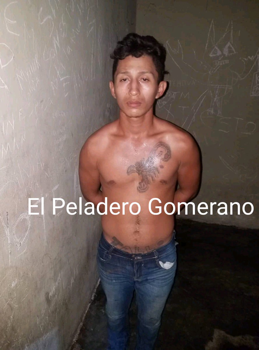EGomerano's tweet photo. LADRON SEROTE EN LA GOMERA. 

PERSONA APREHENDIDA POR PORTACIÓN DE ARMA ARTESANAL.

La mañana de hoy siendo las 20:30 horas sobre la 9na. Calle, Colonia Catalina, La Gomera, fue aprehendido el señor:

WALTER ESTUARDO DEMETRIO GODOY GÓMEZ, de 22 años. https://t.co/EuyXqSuT15