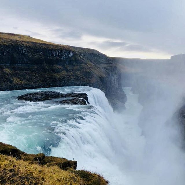 DoEle_'s tweet photo. Majestic 💚 
#traveling #waterfall #nature #iceland #camperlife #natureaddict #intothewild #majestic #powerfull #girlswhotravel #gamta #kriokliai #islandija #doele https://t.co/Q7cJGYWQJG https://t.co/vzZ8q8OqpF