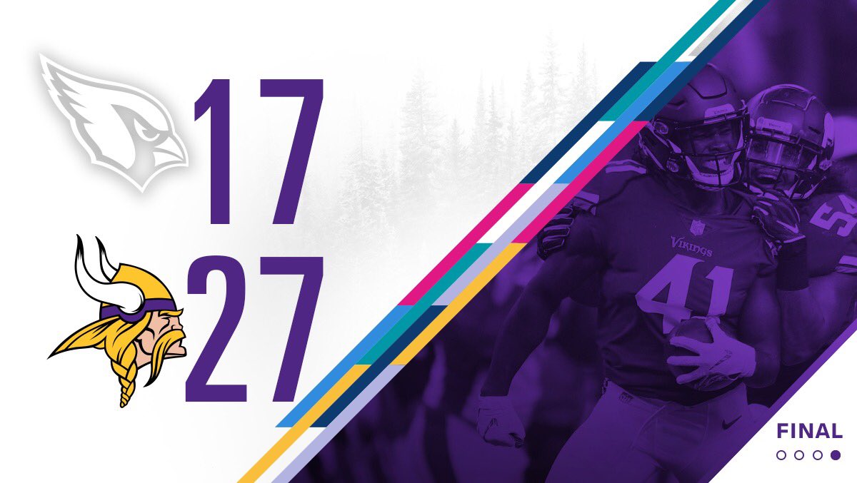 Vikings's tweet image. Bye bye birdies. #Skol