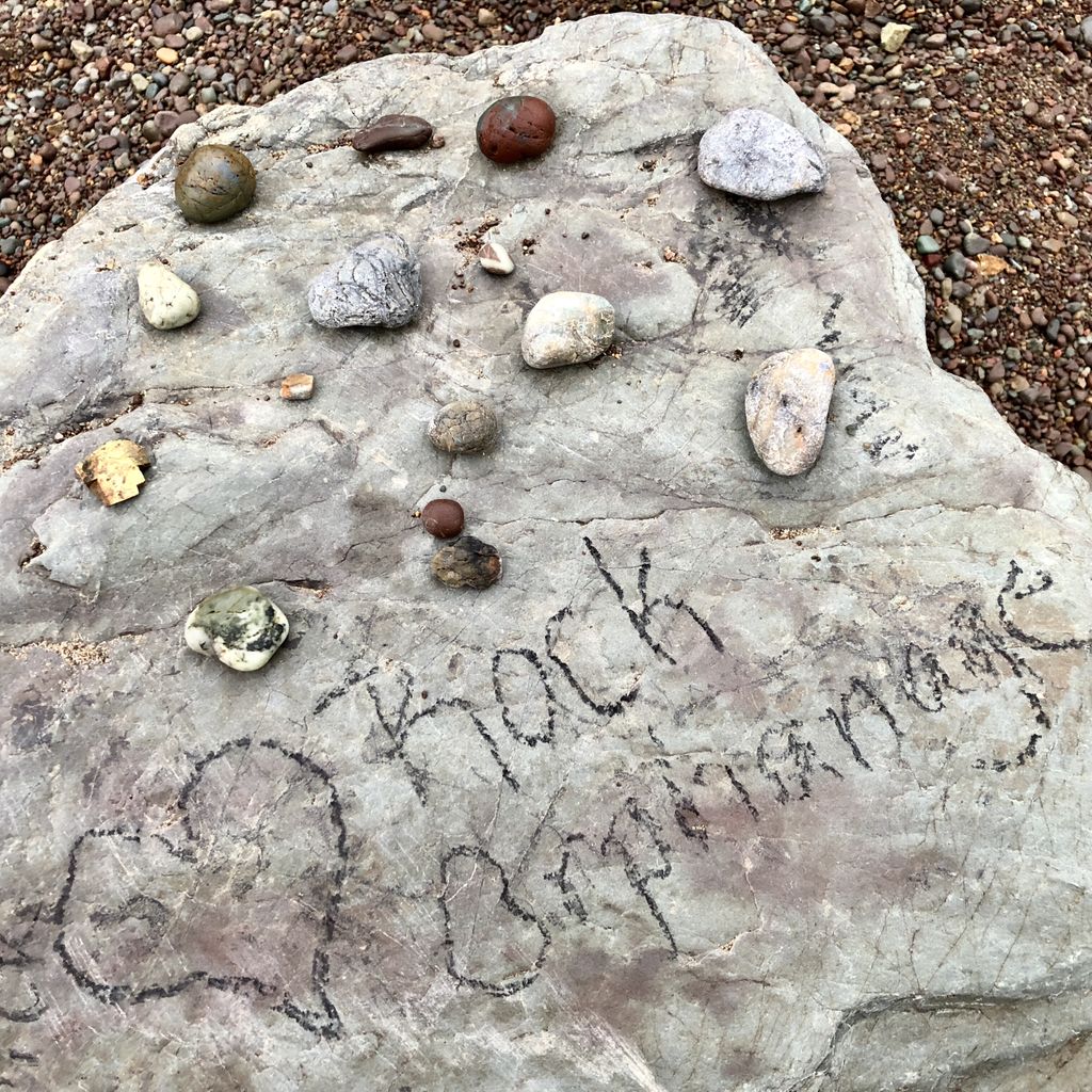 kevinmscheer's tweet photo. Found this on my sunrise hike to Tennessee Valley Beach. Plus I heard 2 coyotes calling back and forth across the valley. Amazing! https://t.co/9eHAl5Dxv2