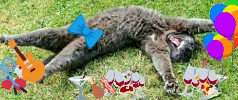 ElsewhereToo's tweet photo. @Falkorkat @CathyLaQuinta @lufflyLu @JoMacIntosh1 @RupertTitch @RescueCatLily @3d2e78519eb042d @_tiffanyleila @3legs0teeth @KeesjeKat @saltano22 @MarkLeneve Vive tous les mariés!!!! #LetsPartyNow https://t.co/8COGnR3lSC