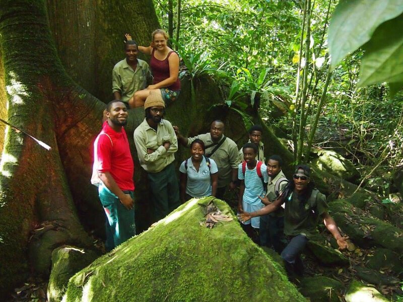 StenapaStatia's tweet photo. Looking for #interns and #volunteers in our amazing terrestrial #NationalPark. #biology #bothany #environmental #landscaping #trails #hiking #carpentry #iguanas https://t.co/Wtl58OsDvc https://t.co/PwDUXNn6Iq