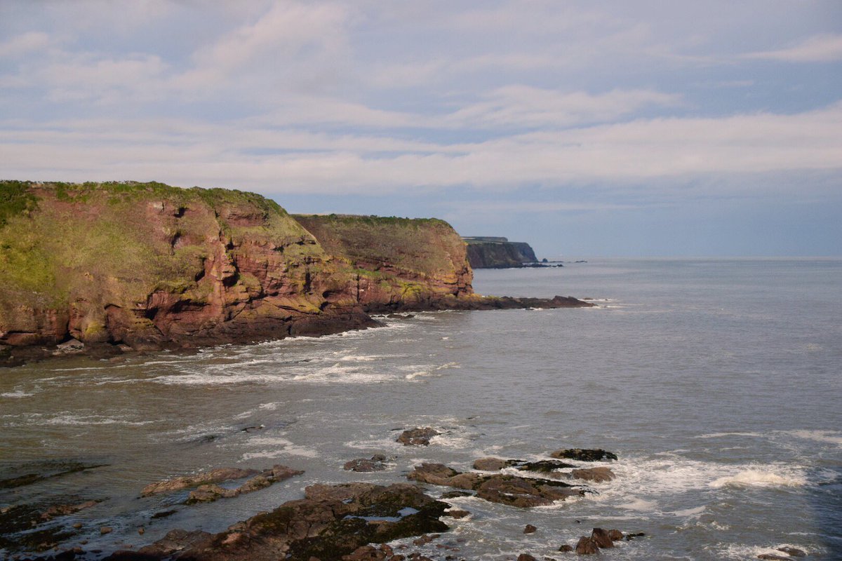 andreakjgreig's tweet photo. Our walk today was along the Angus Coastal path from Auchmithie to Arbroath. Rugged cliffs, wide open seas & dramatic scenery made for a lovely walk. #Anguscoastalpath #angus #Arbroath #dogwalk #ruggedcliffs #Scotland #scotlandsbeauty #northsea @wildangusNEScot @PhotoWalkScot https://t.co/XxN7HO1gM4