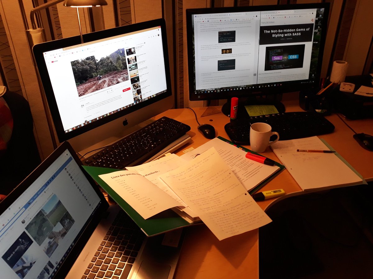 Maewin_Succat's tweet image. À fond dans l&apos;étude du SASS #webdevelopper #programmationweb #letsmove #goforward
