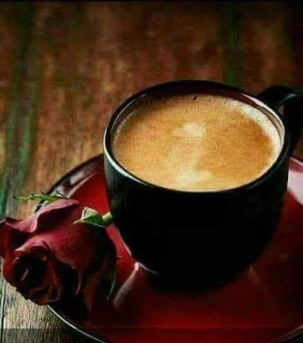 MomalNaz's tweet photo. اس کے کپ میں جو بچ گئی تھی۔۔۔
ہائے۔۔۔
اس چائے کا جواب نہیں۔۔۔!!❤🔥 🍵 

M I S H I❤ https://t.co/rG5kevu0kj