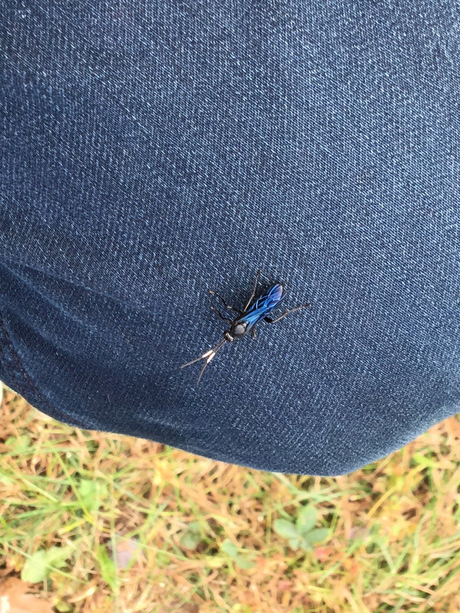 Raphael Cerrato tweet media