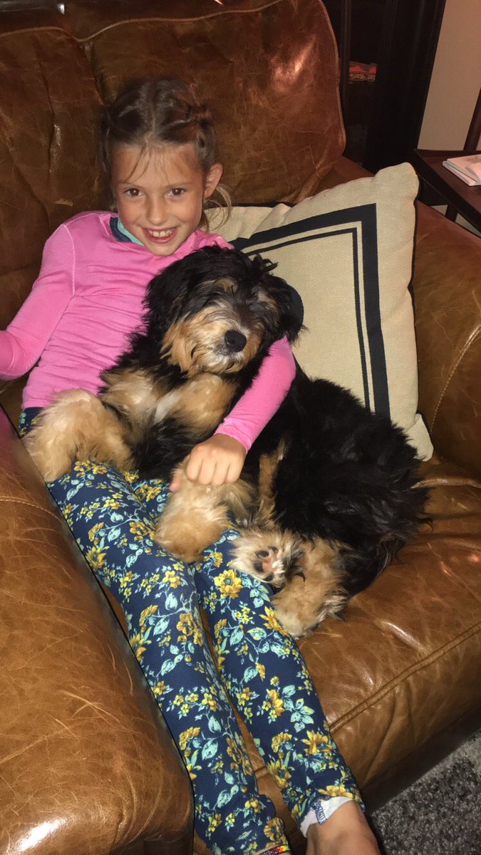 ChloeMollitor's tweet photo. Went home to visit my parents and was surprised to see a new member in the family!!! Welcome to the fam benson 😍 https://t.co/xSb1i4bgzy