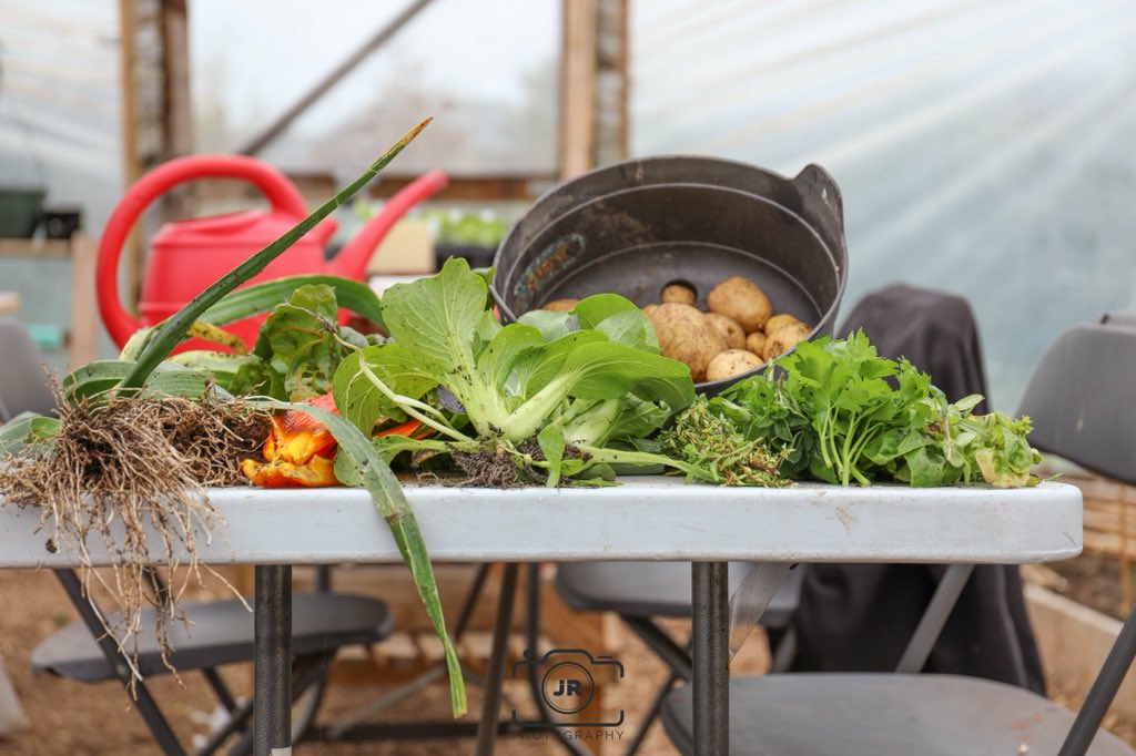 kgardencooks's tweet photo. My final @RHSSchools #soupshare event was at @gardeningmagh where we harvested veg and it went straight to the pot #freshestsoupever #purplecarrots #purplesoup @chefkathymac @VirtualiAlison @GrowForTherapy https://t.co/JFYMq0V0BZ