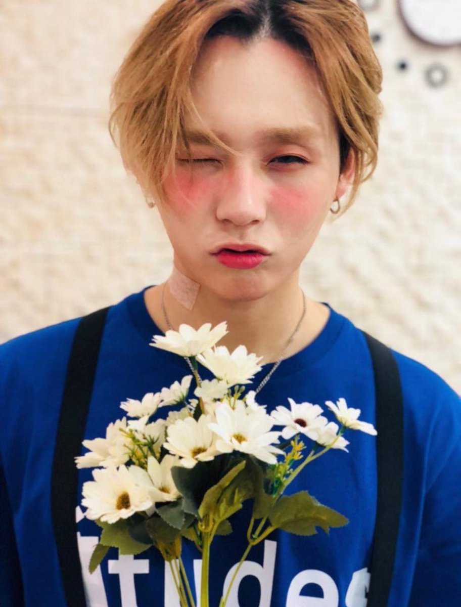 PENTAGONBrasil's tweet photo. [#2YearsWithEDawn] 이던씨,

언제나 응원하는 거 알죠? 난 항상 응원 할게요!! 

너는 네 어두운 세상에 빛이에요. 아름다운 사람이니까 스트레스 받지말고 행복하세요~ 앞으로도 열심히 응원할게요 😊

많이 걱정하지마요, 다 잘 할거에요~~ 우릴 항상 생각해줘서 고마워 💙

🌼 @CUBE_PTG #이던 https://t.co/XqQcggQ1sl