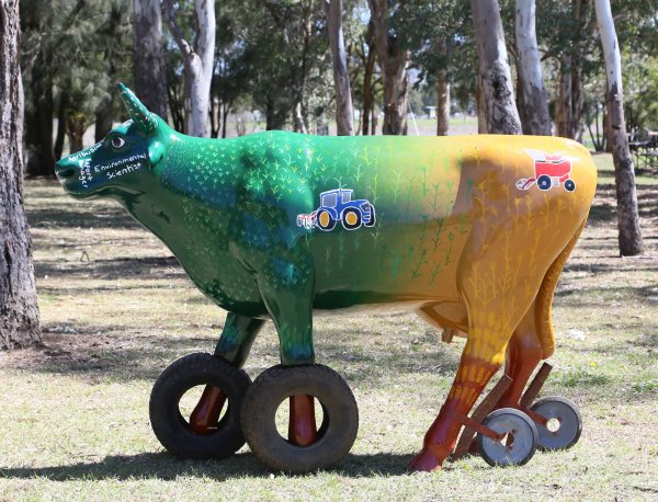 meghbrice's tweet photo. Proud to have been involved in McIntrye High Schoolโs @Art4ag journey. The staff and students designed โDaffyโ to depict the many aspects and opportunities within the #grains industry. #art4agriculture #archibull #youthinag #ausag https://t.co/quJNA380zT