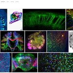 Photo by Interstellate (@Interstellate_)