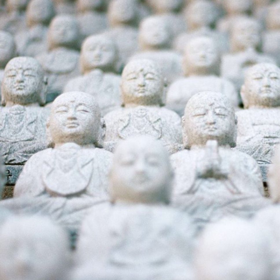 _RefugeRecovery's tweet photo. “The greatest satisfaction comes not from chasing pleasure and avoiding pain, but from the radical acceptance of life as it is, without fighting and clinging to passing desires.” Noah Levine, Against the Stream: A Buddhist Manual for Spiritual Revolutionaries Image: RR Chicago https://t.co/L6KvQTLsgz