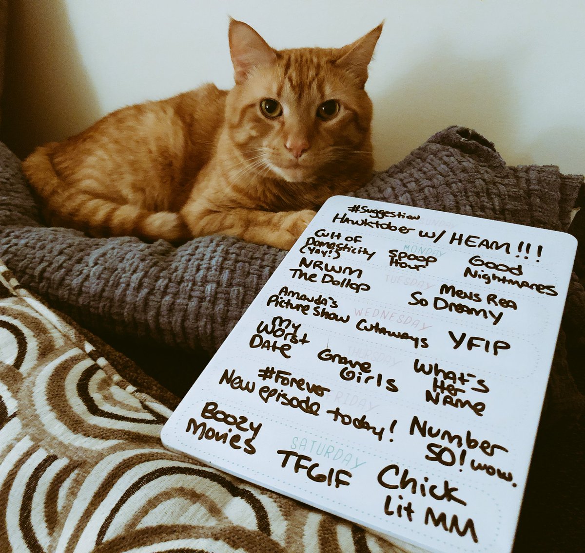 Friends with Alysa tweet media