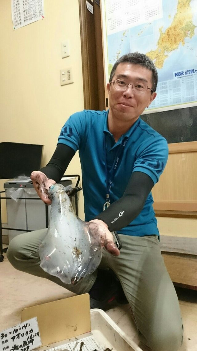 todaturigu's tweet photo. ナイスティップラン釣果☆彡 https://t.co/Vw769ly2K7 https://t.co/ML3fjNXjbN