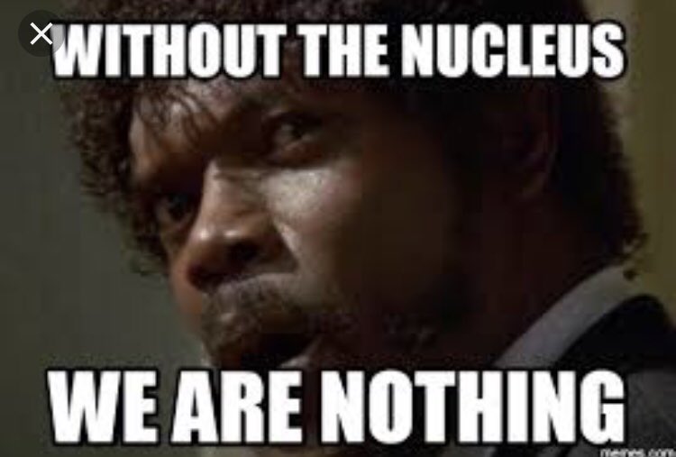 Master_Nucleus's tweet photo. That’s right!!! #LPHSorganelleelction2018 @APBioBoss https://t.co/qFYvpYNCcK