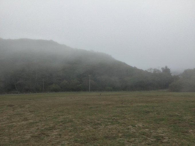 Longer Farther Higher Faster. Yesterday&rsquo;s #ECSCA #50ktraining run was the longest time I&rsquo;ve spent running<a href="/tag/ecsca"class="tags">#ECSCA</a><a href="/tag/50ktraining"class="tags"><span>#50ktraining</span></a>