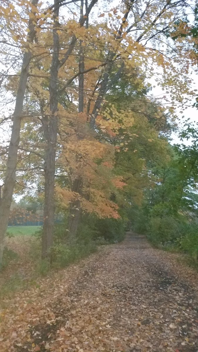 MJMLAWDETROIT's tweet photo. Always a privilege to spend time @mtholyoke, the place where I first fell in love with fall. The people make the place. #PoweredByMountHolyoke #aamhc https://t.co/sAkRdUANXV