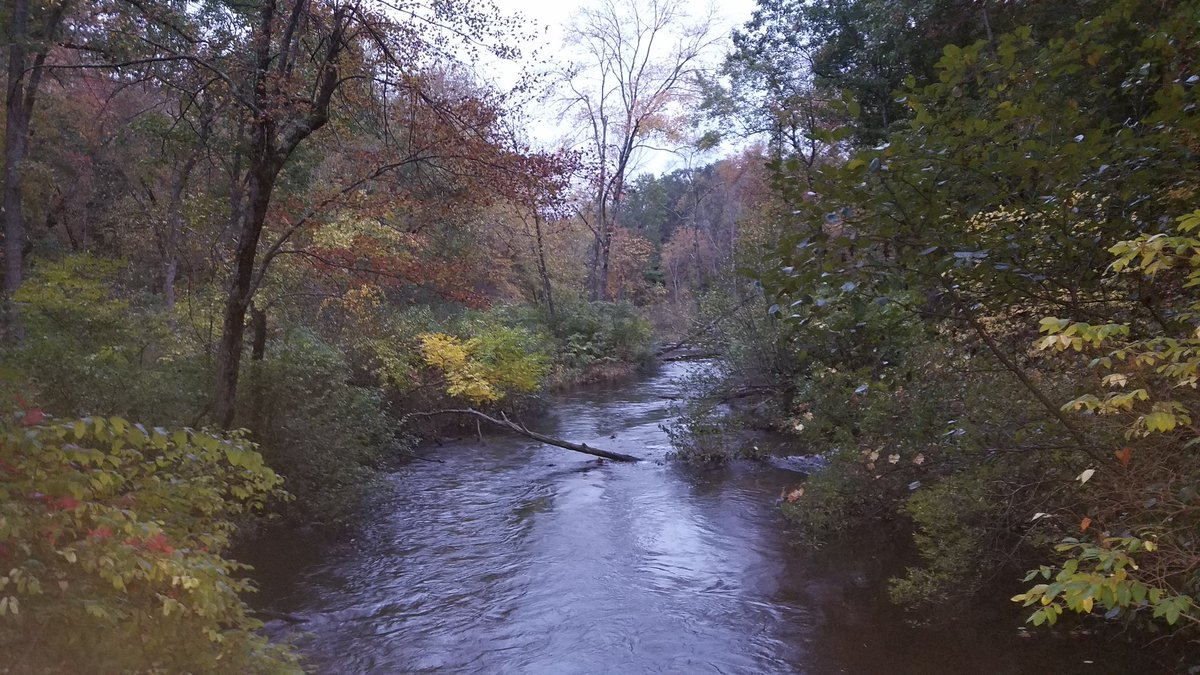 MJMLAWDETROIT's tweet photo. Always a privilege to spend time @mtholyoke, the place where I first fell in love with fall. The people make the place. #PoweredByMountHolyoke #aamhc https://t.co/sAkRdUANXV