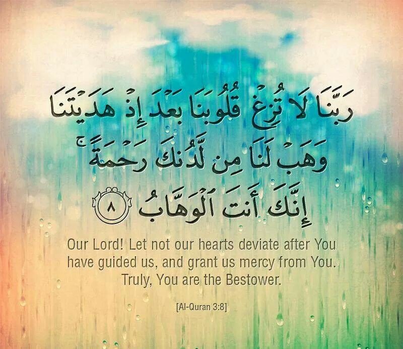 #Muslim tweet media