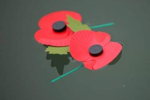 Muggz_Club's tweet photo. Post a Poppy to Stella Campaign
Please post a single poppy to:
Stella Swain
Cambridge University Students Union 
17 Mill Lane 
Cambridge
CB2 1RX
Please RT with all your friends and post a Poppy. Please no comments with it just the poppy. Many Thanks ! https://t.co/5TvWbzMyt9