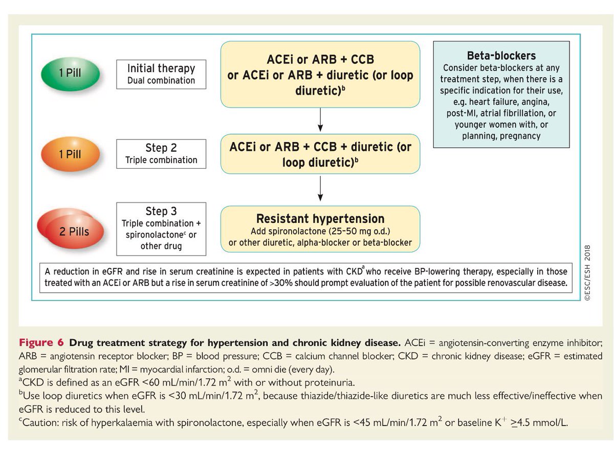 pharmD_E's tweet photo. Drug treatment strategy for hypertension and chronic kidney disease 
#Hypertension 
#ESC2018 https://t.co/DfZ0BCmlKu