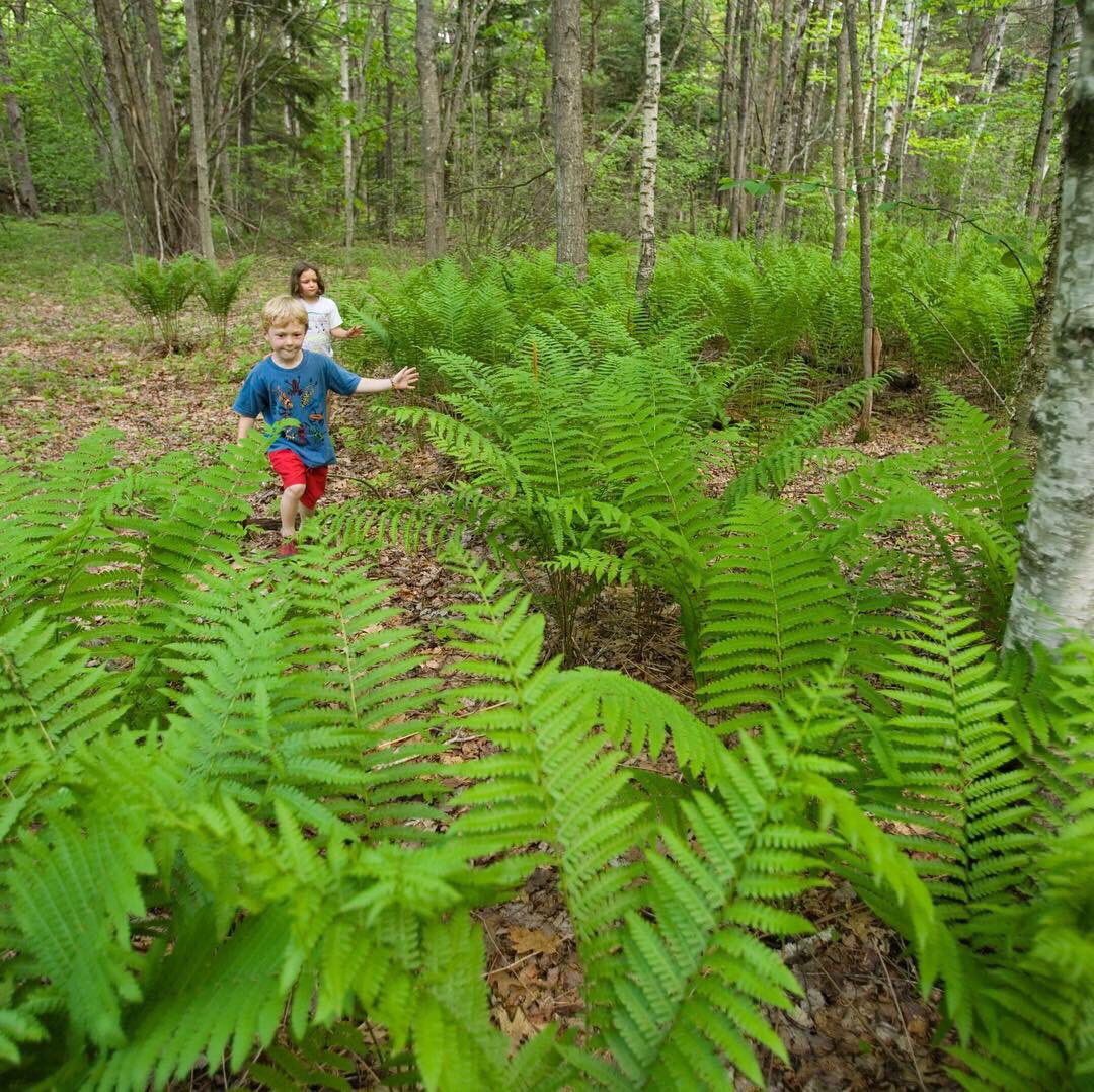 davies_white's tweet photo. Wonderful woodland fun, reasons to #chooselandscape - who doesn’t enjoy playing #hideandseek - #reconnectwithnature #wildtime #projectwildthing #dirtisgood #naturefix #vitaminN #lastchildinthewoods https://t.co/4ik856wlmD