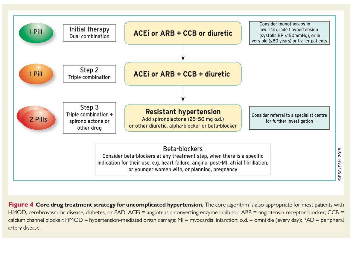 pharmD_E's tweet photo. Core drug treatment strategy for uncomplicated hypertension 
#Hypertension 
#ESC2018 https://t.co/ZGuS0d4Oj2