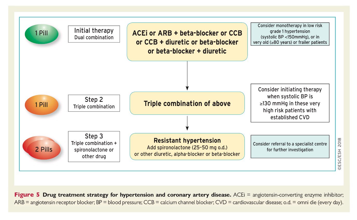 Coronary Artery Disease Treatment