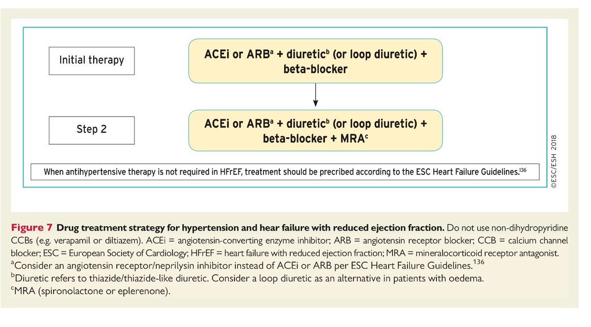 pharmD_E's tweet photo. Drug treatment strategy for hypertension and heart failure with reduced ejection fraction 
#Hypertension 
#ESC2018 https://t.co/zs4ZgxTTlp