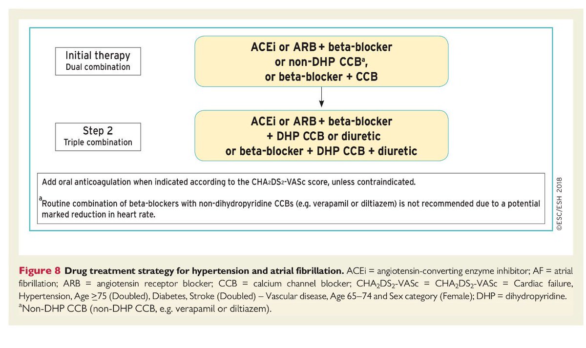 pharmD_E's tweet photo. Drug treatment strategy for hypertension and arterial fibrillation 
#Hypertension 
#ESC2018 https://t.co/otGhmOMyhe