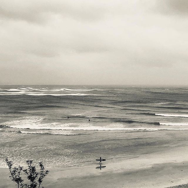 byronbay's tweet photo. Good morning Byron Bay... 📷 @thepassbeachhouse
・・・
Stormy conditions continue to roll thru the bay. The swell seems to have changed direction and sweeping past. Maybe a good day to catch up on work and see what comes #byronbay #byron #thepass #visitb… https://t.co/Q54pjzISbM https://t.co/k5eMMh8m0p
