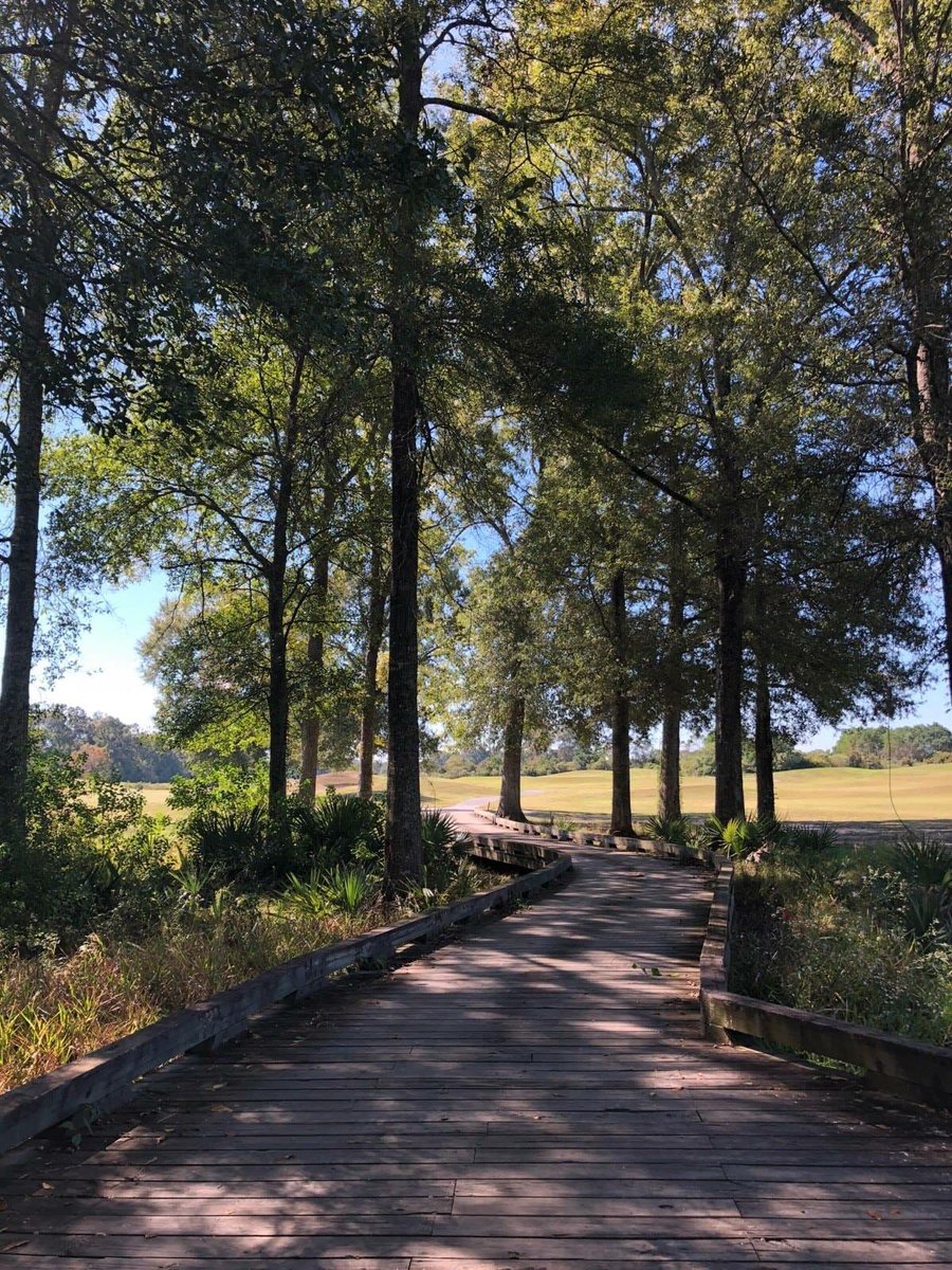 "Golf is more than just a game.  Its a chance to experience the beauty of nature." - Robert Johnson