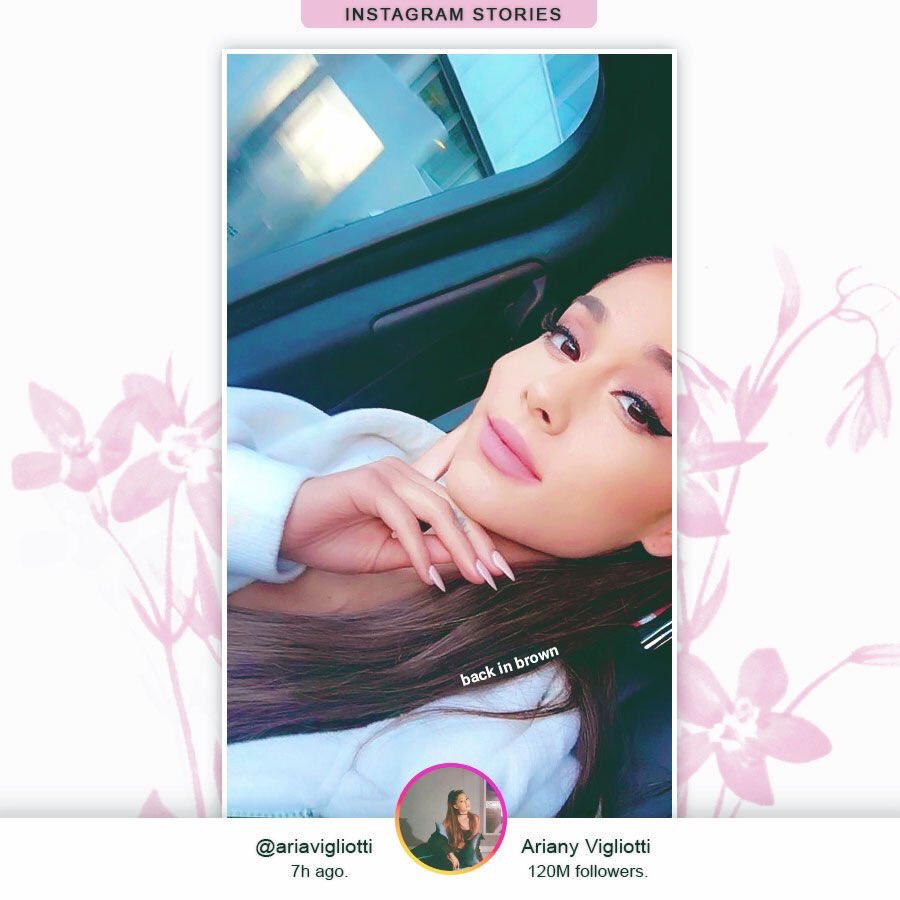 ㅤ          🙊┊𝐕𝐢𝐚 𝐈𝐆 𝐬𝐭𝐨𝐫𝐢𝐞𝐬.
ㅤ          ㅤ     October 13rd.

Casi dos meses han pasado desde que decidí tomarme un descanso. Aunque con mi equipo estuvimos trabajando en una sorpresa que saldrá muy pronto.
Por otro lado... ¡mi cabello castaño ha vuelto conmigo!