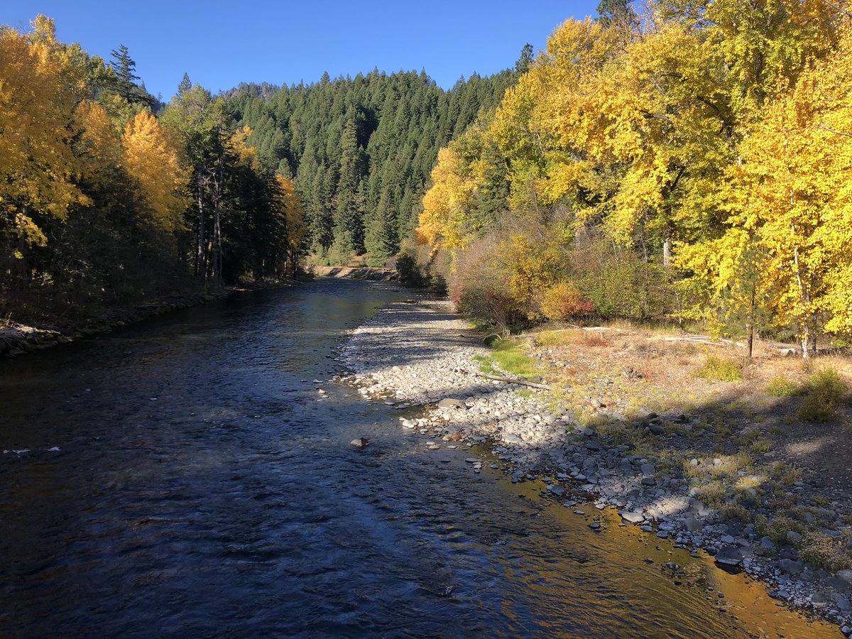 Kerstin_Smutny's tweet photo. Also this mornings #run was rather gorgeous. #fallinthepnw https://t.co/euWjdaJEll