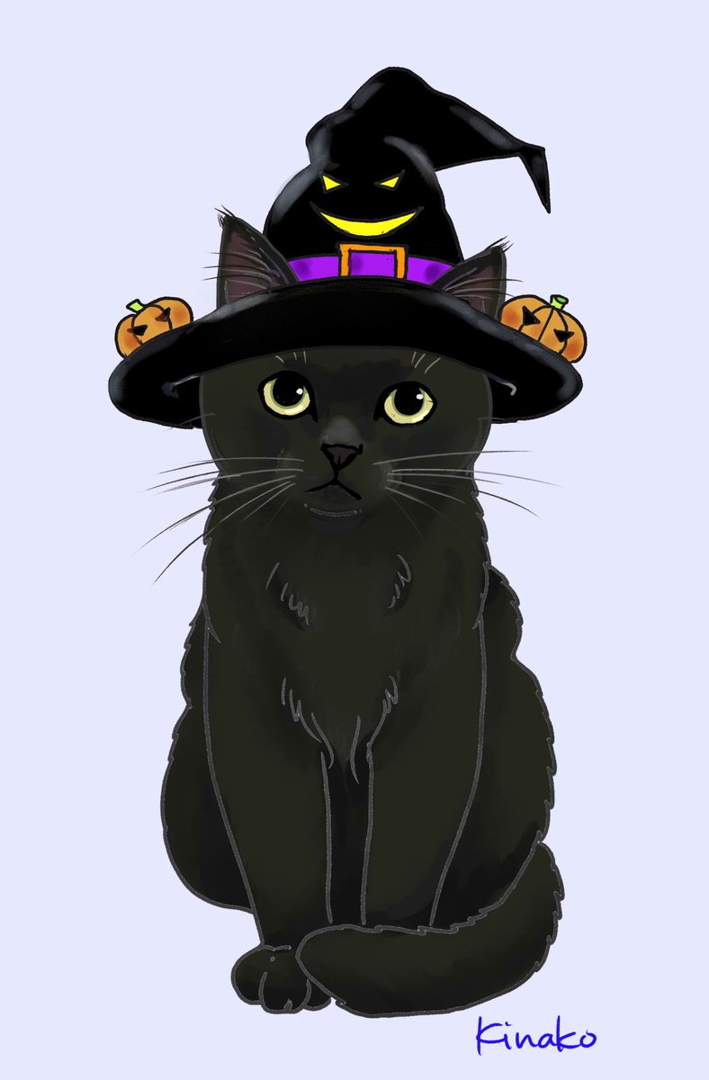 Twitter 上的 きなこ 猫の絵を描いています ハロウイン ちょっとふっくら黒猫 イラストを描いてみました この後背景も作ってみます 猫絵 Cat Drawing 猫イラスト 猫画 ハロウイン T Co Slvrpktxpn Twitter