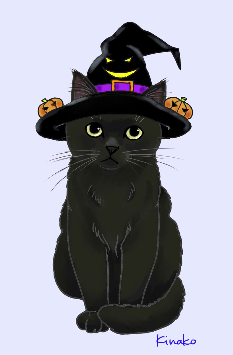 きなこ 猫の絵を描いています No Twitter ハロウイン ちょっとふっくら黒猫 イラストを描いてみました この後背景も作ってみます 猫絵 Cat Drawing 猫イラスト 猫画 ハロウイン