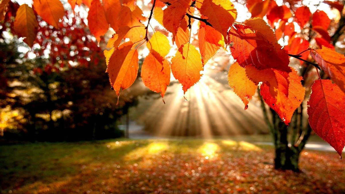 SprouleInsuranc's tweet photo. 'tis the season to be insurance savvy https://t.co/upW0ZY5S4l #yyc #insurance #broker #fall #preparedness https://t.co/Zx100jTzba