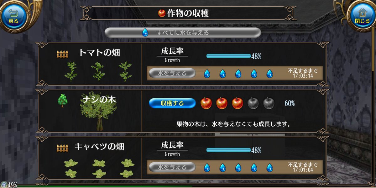 トーラム 栽培 料理