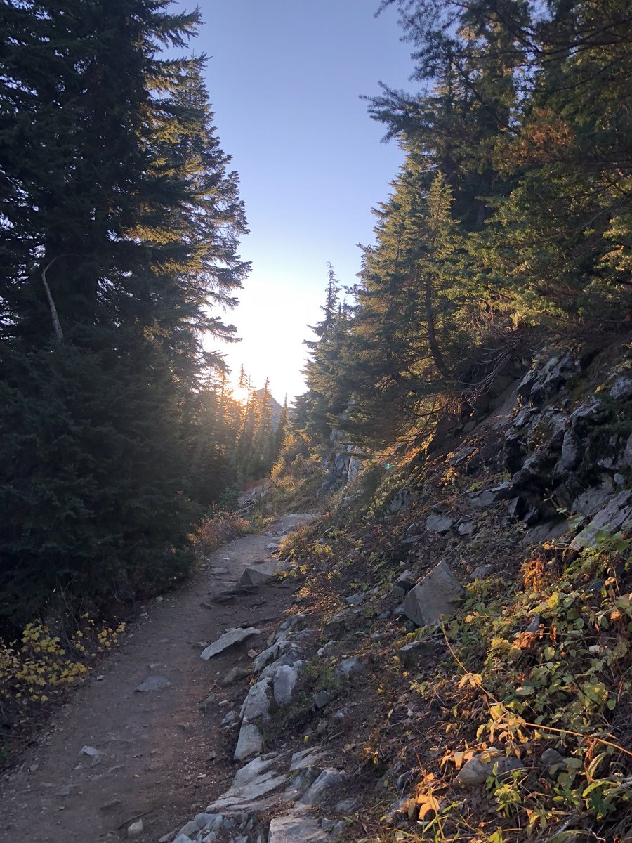 aaamber16's tweet photo. Mt. Rainer yesterday, talk about beautiful views 🌲 https://t.co/vSFfXWc4Ks