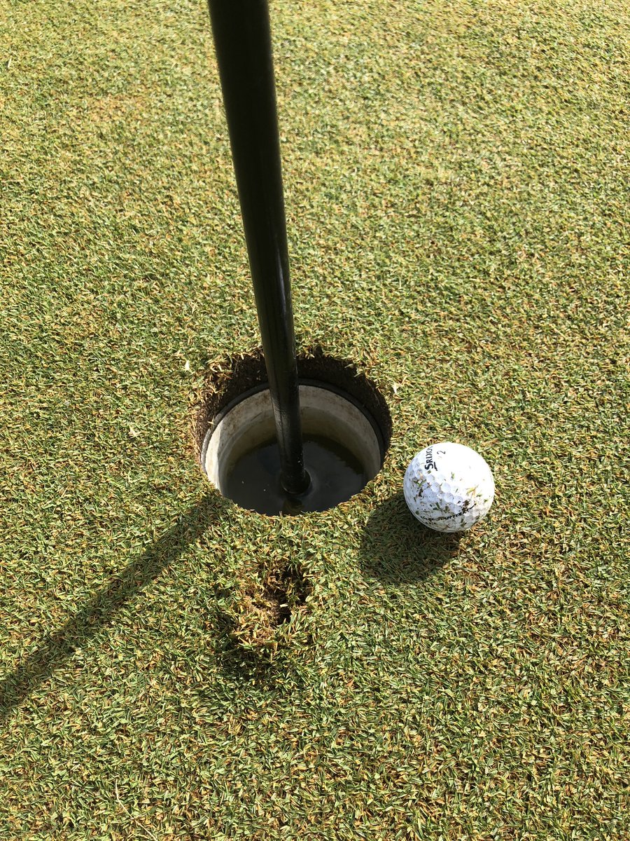 lridgeway's tweet photo. The closest I will probably ever get to a hole-in-one.  Champions Run, Hole 13 Par 3 195 yds with a 5 iron...Sooooo close!!! https://t.co/OSmHinAZvF