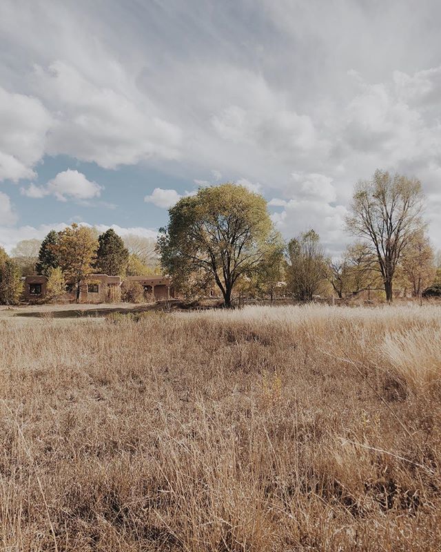 wendypolish's tweet photo. First day in Taos was truly magical. Thank you @paigeappel @kellyharris for being our connectors ⚡️
.
.
#midlandretreats https://t.co/OM6pirc3Vm https://t.co/dPzKpJvUI5