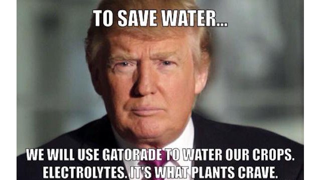 MarinaArnaldosO's tweet photo. @ElClubDeLaJarra @JavierArnCo @borge_amando @PazDBauluz @aguedaGdD @Acuatic85 @J_Palomero Muy fan de la idea #watermeme!
Veamos quรฉ nos enseรฑa @Google cuando buscas water memes...oh...๐๐
Bueno, parece que los del #ClubdelaJarra serรกn mรกs instructivos! https://t.co/Tnnank7wxU