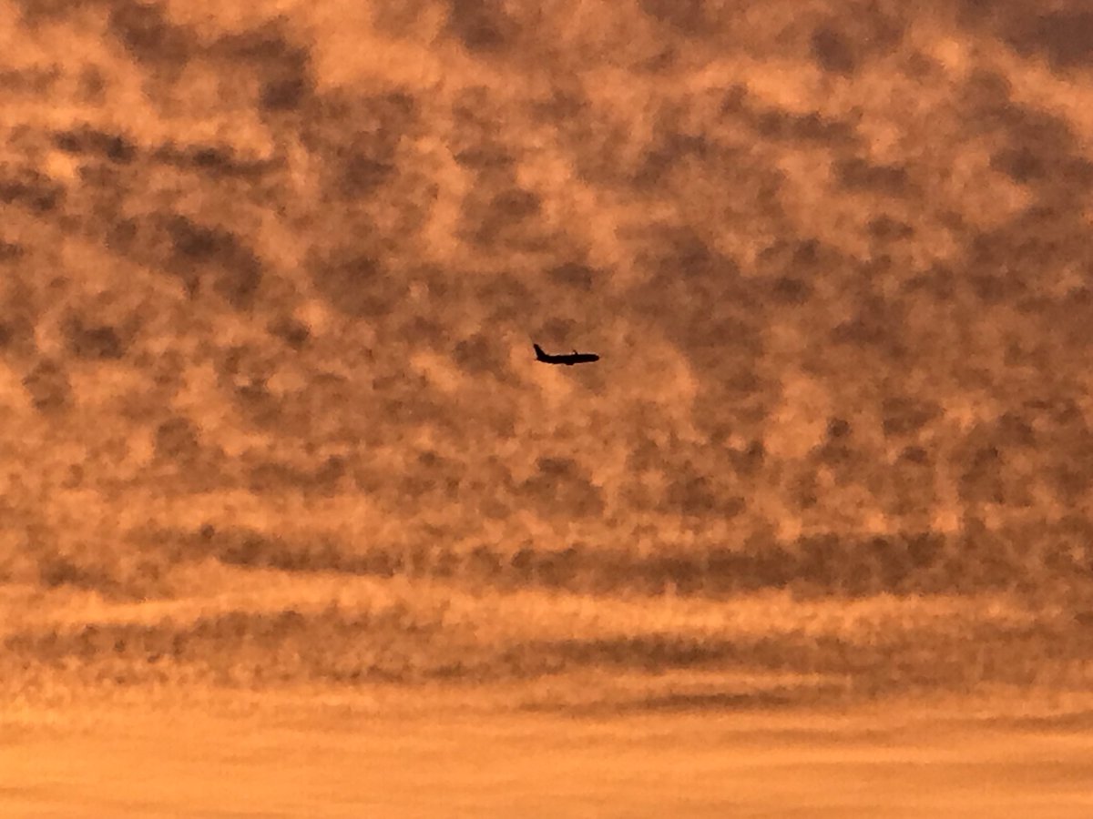 NiceShowDongHae's tweet photo. 여러분 안녕 잘잤어☀️？
오랜만이야♪ 잘지내？
몰래 축하  말에 왔어♪

_________________________

사랑하는 동해님
****************
생일 축하해요！
오늘도...올해도..행복하길！！

———————————

고맙다고 사랑한다♪
오늘도 행복한 하루하자(･ω･=)♪ https://t.co/QB4AjWoRrd