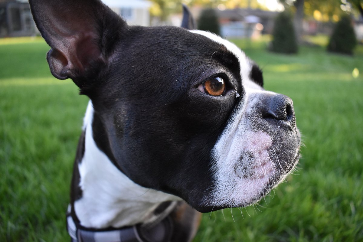 FernandaBottin2's tweet image. Hey guys, time to getting to know your camera better! Check my new post blog and learn a bit about essential functions in your camera! #intro2pj #cameracontrols #shallowdepthoffield
bottinisperspective.wordpress.com/2018/10/13/cam…