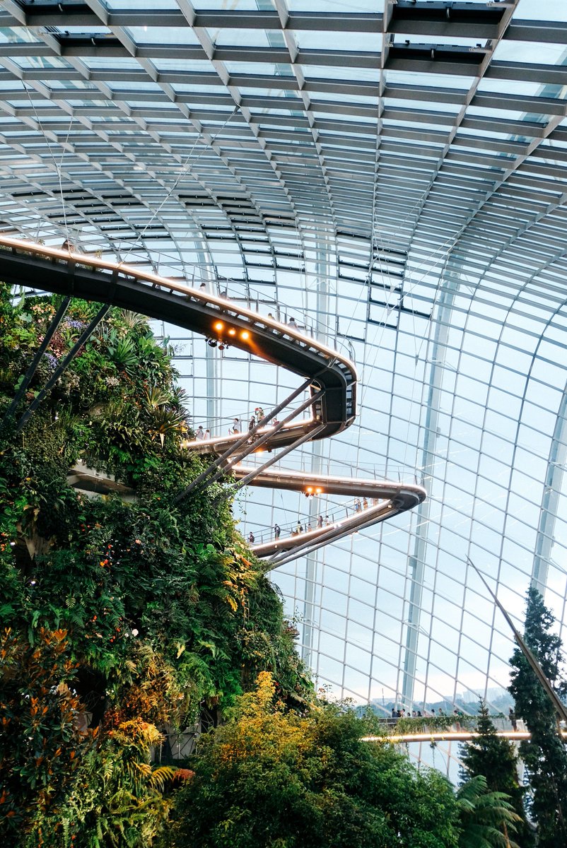 TripGiraffe's tweet photo. Gardens by the Bay, Singapore 🇸🇬 #travelling #travelphotography https://t.co/O6tly8ZAq5