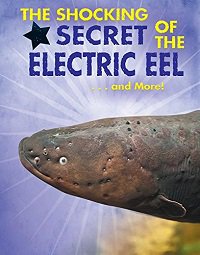 RodriguezAMaria's tweet photo. Not your usual #Halloween #scary #animal, but these #eels can be easily on the list. If they don't scare you, check on the #hairy-legged jumping #spiders. They are pretty awesome! @EnslowPub #teachers #science #kidlit #librarians https://t.co/PZDLQnTtMR https://t.co/1mnMLw0x3q